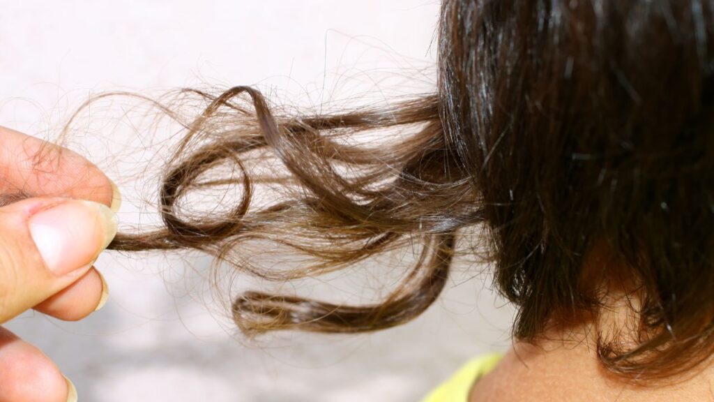 babosa-para-cabelo-receitas